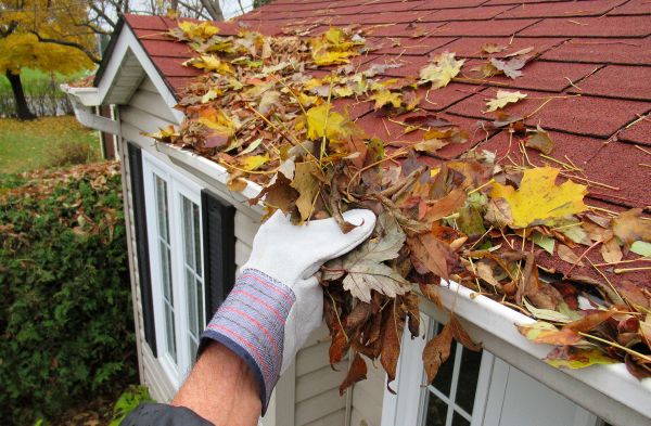 Cost of Rain Gutter Cleaning Service in Winchester