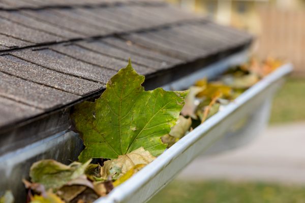 Cost of Gutter System Cleaning in Winchester
