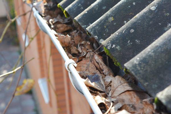 Cost of Home Gutter Cleaning in Winchester