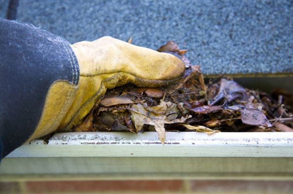 Cost of Jammed Gutter Cleaning in Winchester