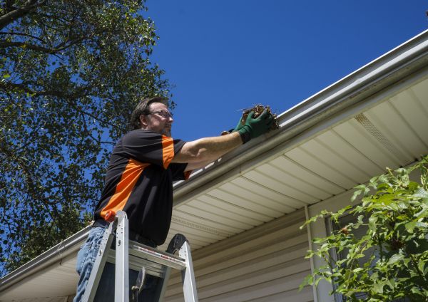 Cost of Eavestrough Clearing in Winchester