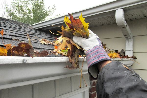Cost of Gutter Blockage Removal in Winchester