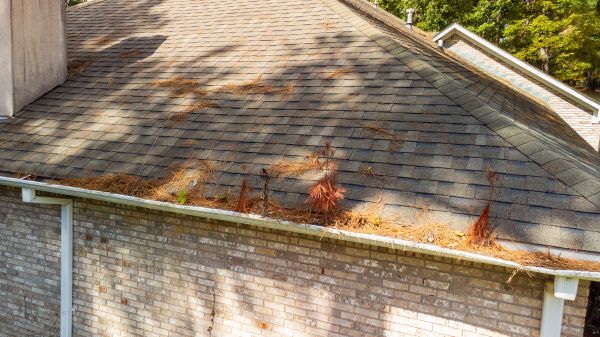 Cost of Gutter Pine Needle Removal in Winchester