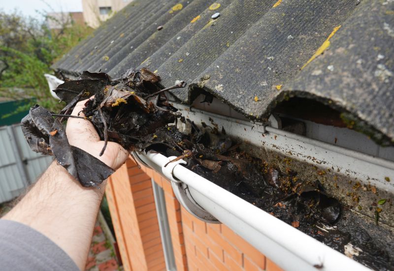 Gutter Leaves Removal