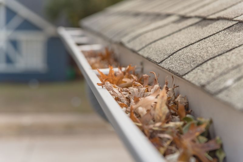 Gutter Leaves Removal