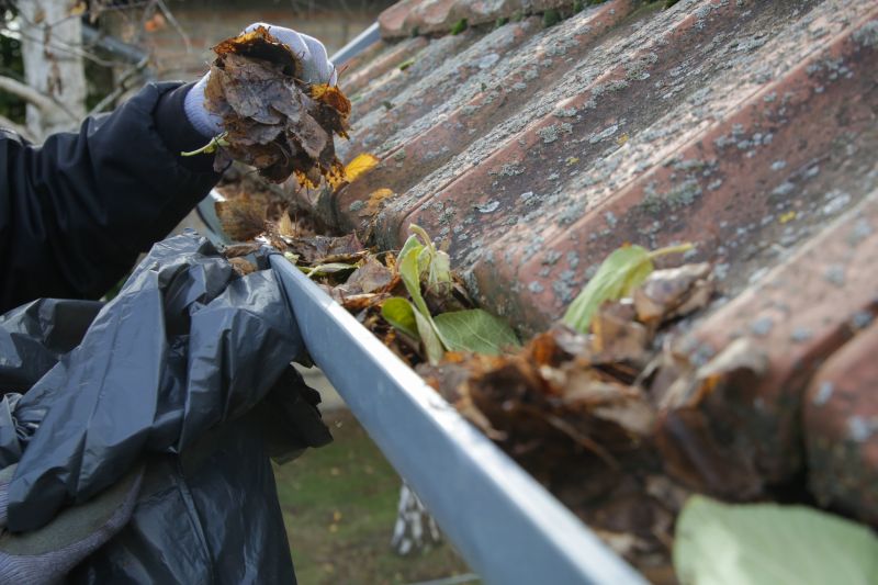 Gutter Cleaning Schedule